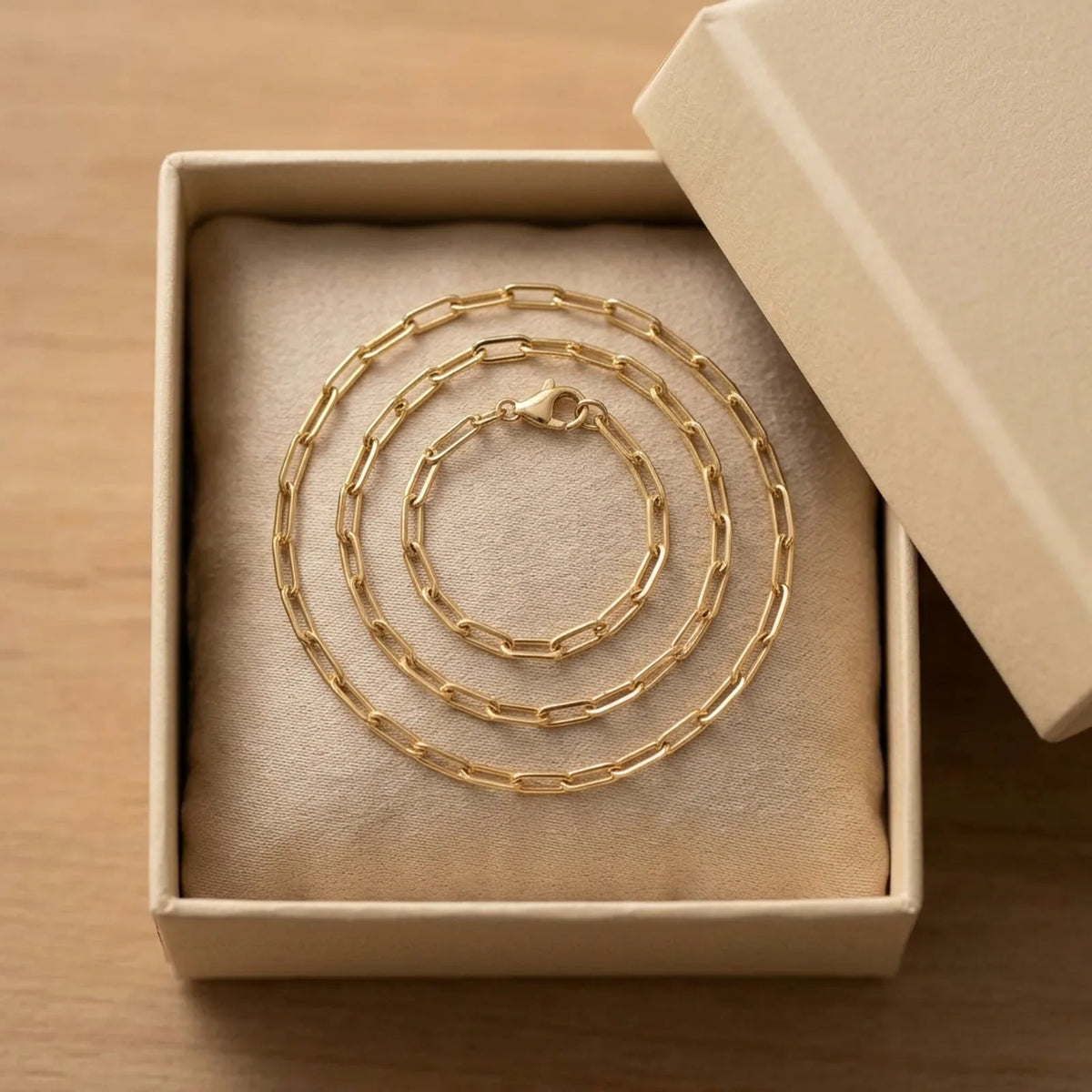 Plain Paperclip Necklace — Gift Box Reveal
