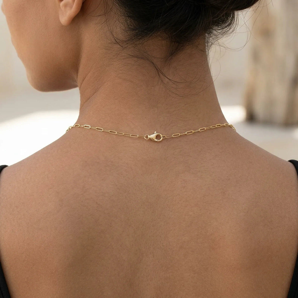 Plain Paperclip Necklace — On the Neck